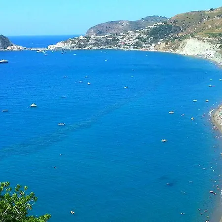 Bina Sea 2*