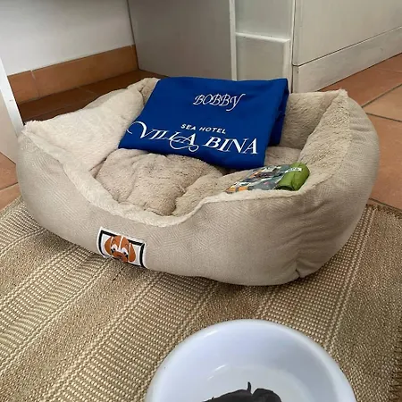 Szálloda Bina Sea 2*