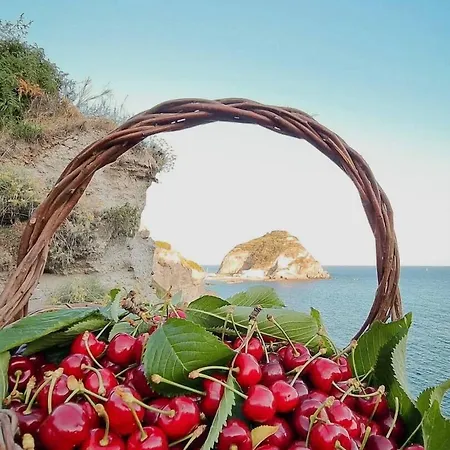 Hotel Bina Sea Sant'Angelo (Isola d'Ischia)
